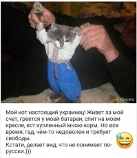 Вера Брежнева объявилась в Италии