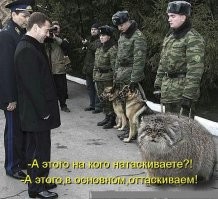 Как взять на ручки утку