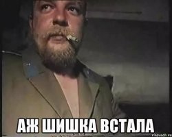 Представил,что она минуэт делает и при этом в глаза смотрит!