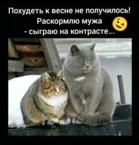 Картинки с позитивом