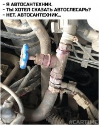 Смешные и познавательные картинки