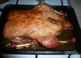 Как взять на ручки утку