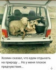 Предчуствие не обмануло :)))