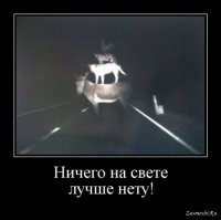 Мемы и картинки, и немного видео на субботу