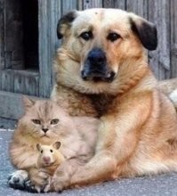 Картинки с позитивом