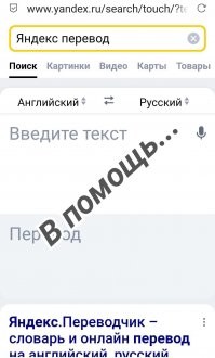 Как взять на ручки утку