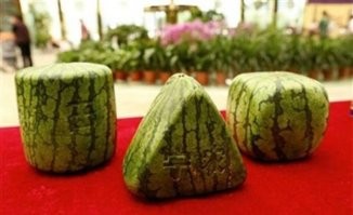 Они не люди: кем на самом деле были загадочные паракасцы, населявшие Перу более 3000 лет назад?