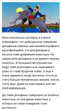 Вообще-то, по сравнению с агрессивными людьми, дельфины - милейшие животные