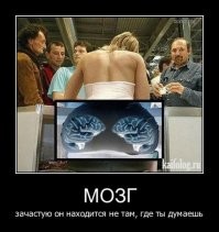 Смешные и познавательные картинки