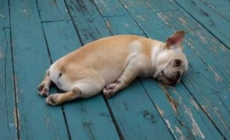 Да, понимю тебя  )