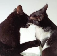 Ну и от наших - с добрым утром :)