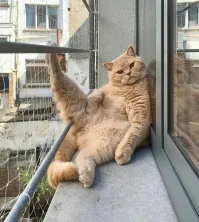 Калейдоскоп позитива. Выпуск 100 !!!