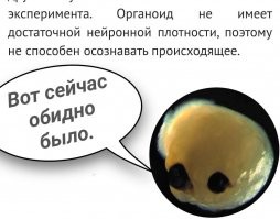 10 безумно странных научных экспериментов