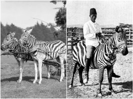 Фотоподборка