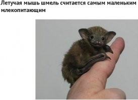 17 счастливчиков, которым попалась редкость - одна на миллион