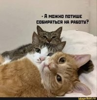 С добрым утром!