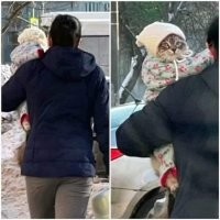 Мой хозяин идиот.