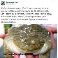 Демотиваторы: новые и смешные 