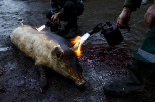 Фантастическое преображение девушки