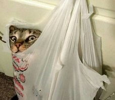 Вот антитыгыдым))