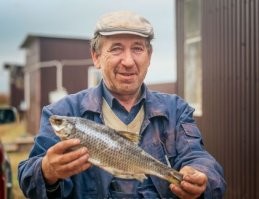 Вот суши, а остальное не досуши.