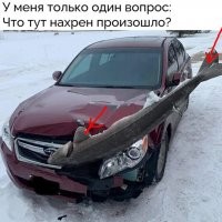 Смотрел внимательно. Вот передний плавник, хвостовой параллельно ему.