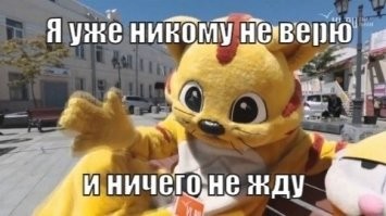 20 фото хвостатых хулиганов, которым наглости не занимать