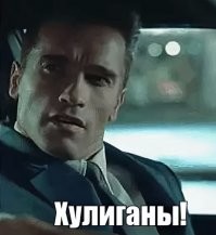 20 фото хвостатых хулиганов, которым наглости не занимать