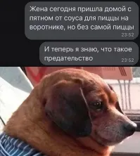 Некто М. Ливински неплохо поднялась на таком пятне от соуса на платье...