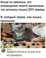 Хорошо хоть сам не отошёл во сне.