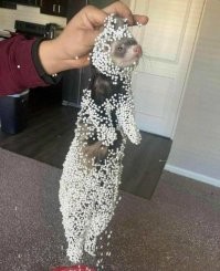 Калейдоскоп позитива. Выпуск 100 !!!