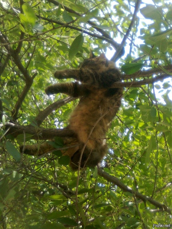 пусть попробует эти же позы в этих местах