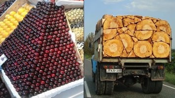 20 фотографий, которые приведут перфекционистов в экстаз