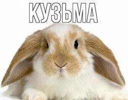 Калейдоскоп позитива. Выпуск 101