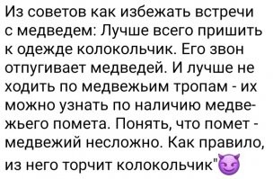 Не только бежать: 7 моделей поведения, если столкнулись с дикими животными России