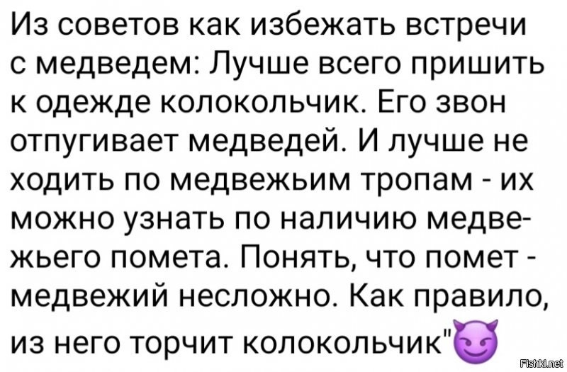 Не только бежать: 7 моделей поведения, если столкнулись с дикими животными России