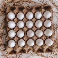 Плюсанул, НО ЯЙЦАклетка выглядит вот так: