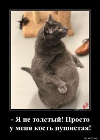 Так вот как выглядит "кость пушистая"...