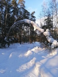 Калейдоскоп позитива. Выпуск 101