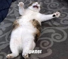 Всё вразнобой