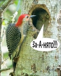 На позитиве