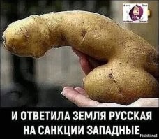 Жениться тебе, барин, надо: 20 удивительных пестиков и тычинок из растительного мира