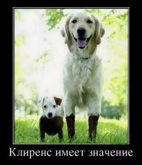 Подборка автомобильного юмора