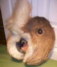 Чего тут непонятно?
Обычная vagina dentata...