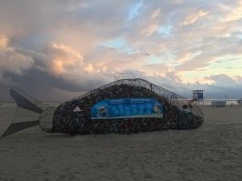Я такое в Эстонии видел . В Пярну . ( фото мое )