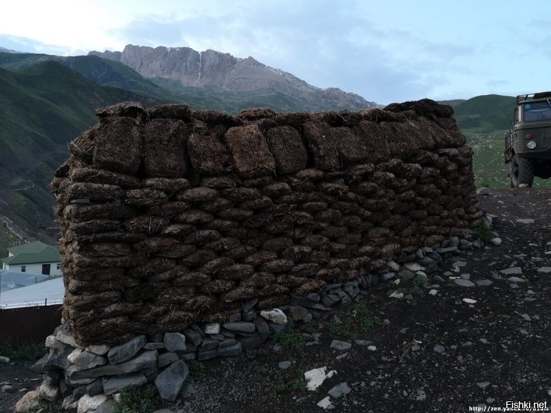 С Казахстана скоро начнут поставки кизяка.