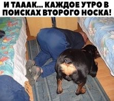 Зачем ему носок? Он в сандалиях.