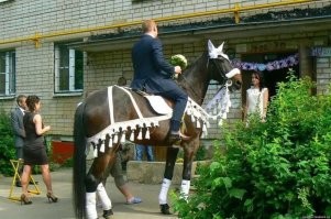 "Кому и кобыла -невеста!"