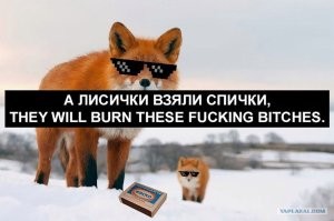 Лишь бы спички не брали...
