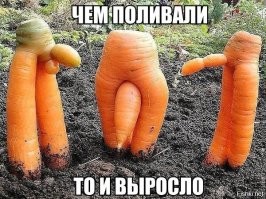 Особенно выразительна морковь.